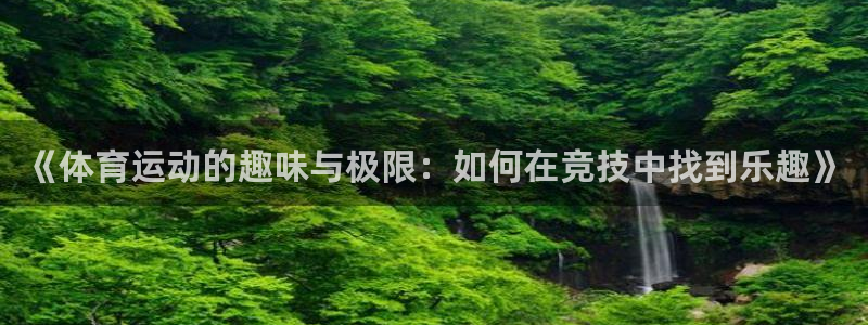 球王会体育