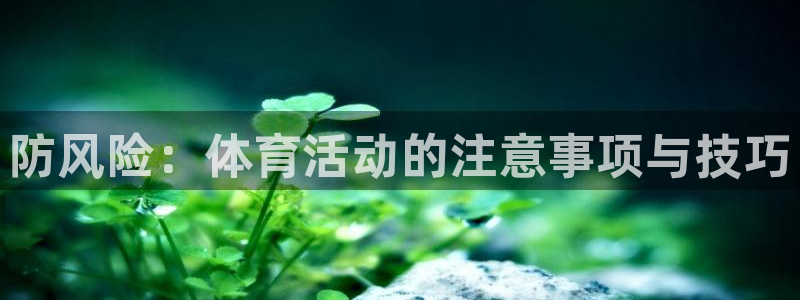 球王会体育