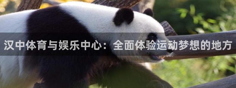 球王会体育