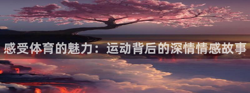 球王会体育