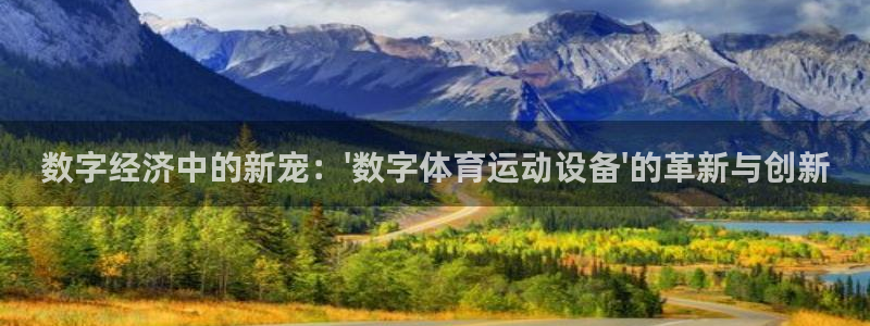 球王会体育
