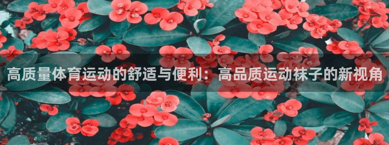 球王会体育