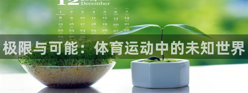 球王会体育