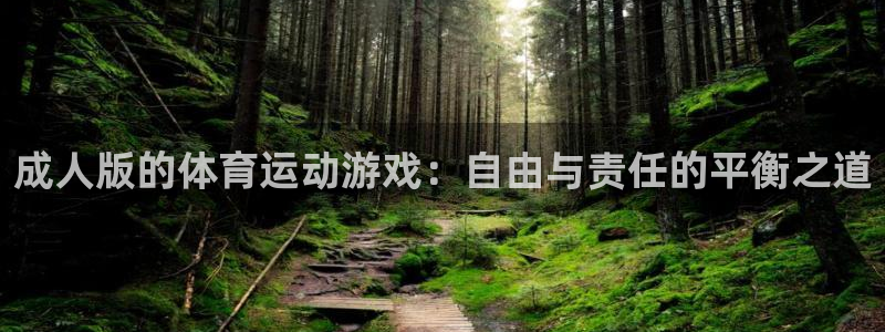 球王会体育
