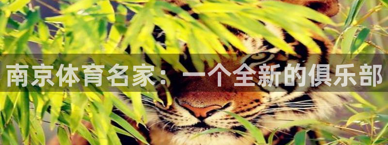球王会体育