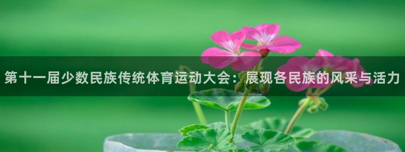 球王会体育