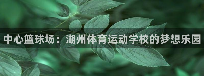 球王会体育